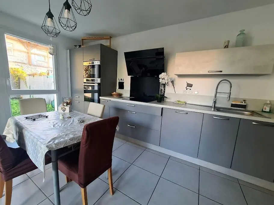 Joli Appartement Vue Montagne, Cosy Avec Jardin Bonneville 0*,